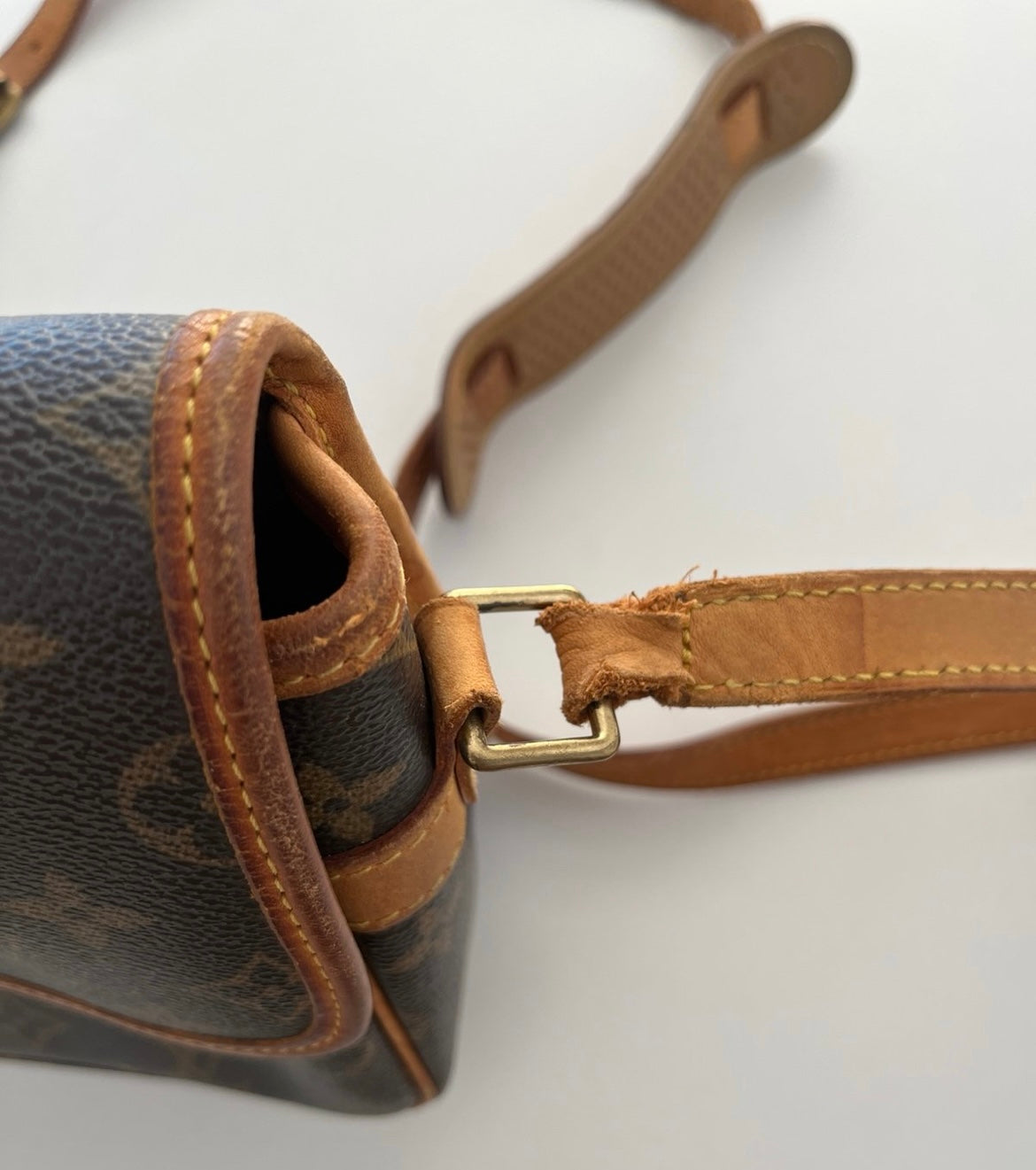Louis Vuitton Sologne Bag