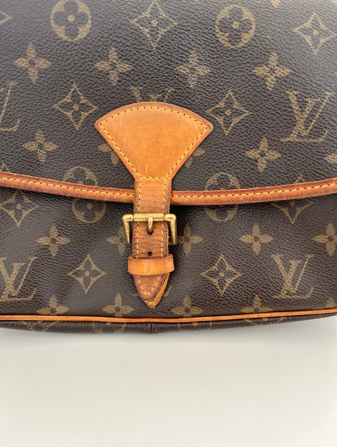 Louis Vuitton Sologne Bag