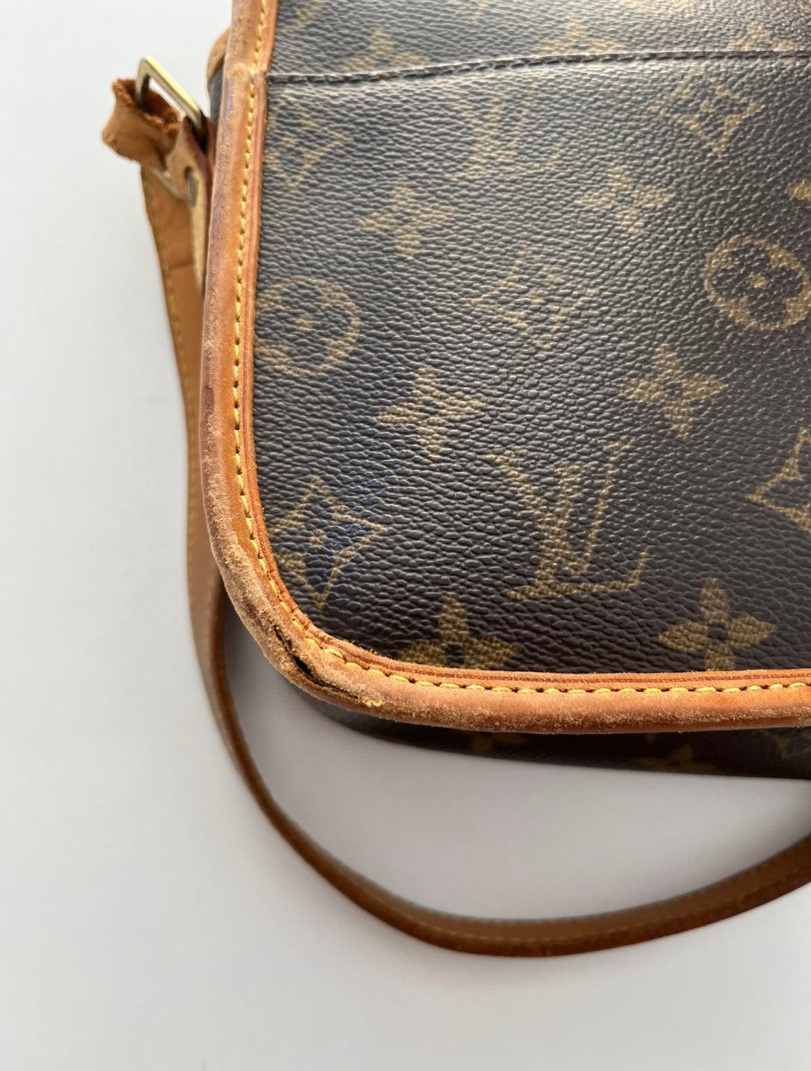 Louis Vuitton Sologne Bag