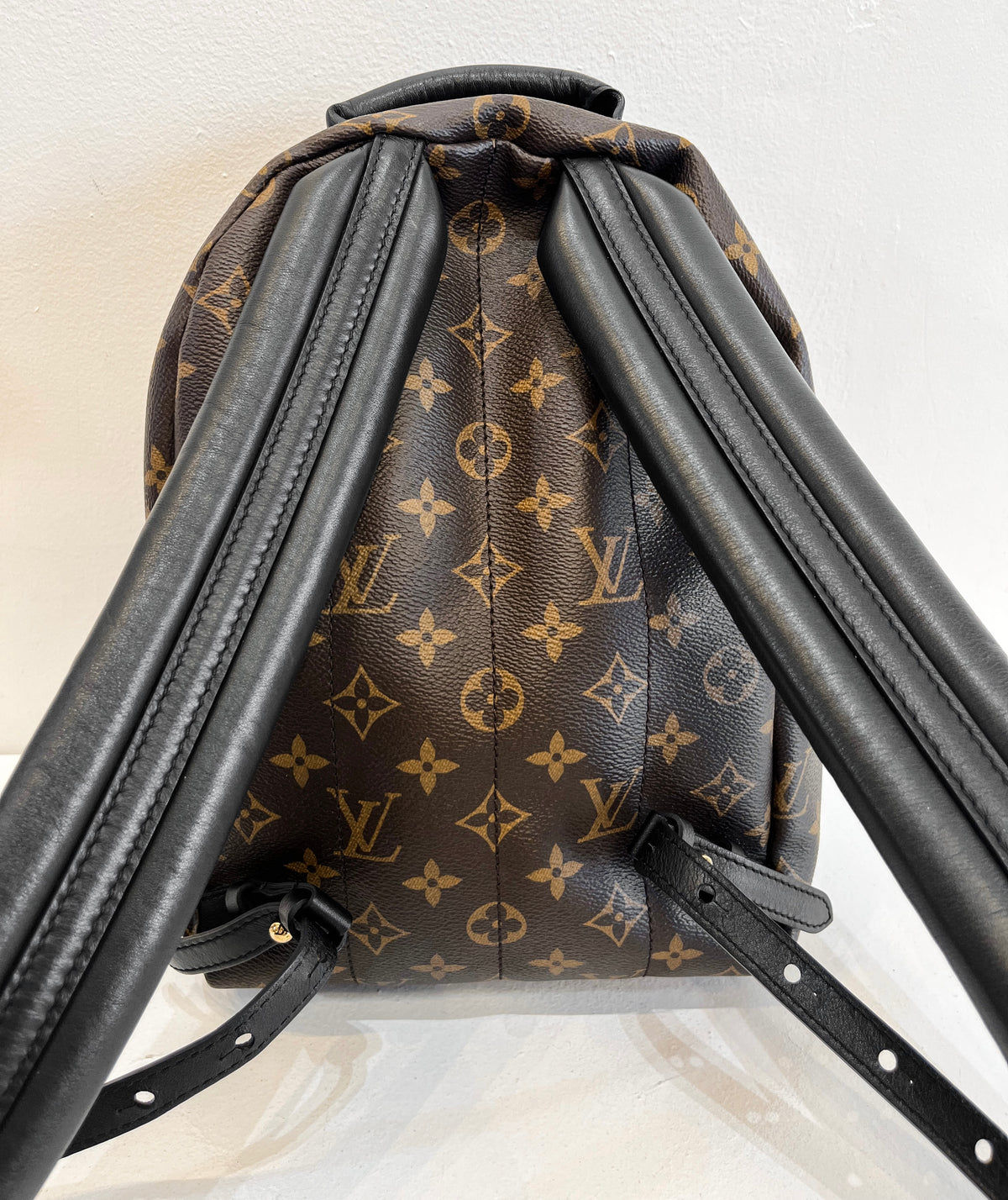 Louis Vuitton Monogram Palm Springs Backpack PM