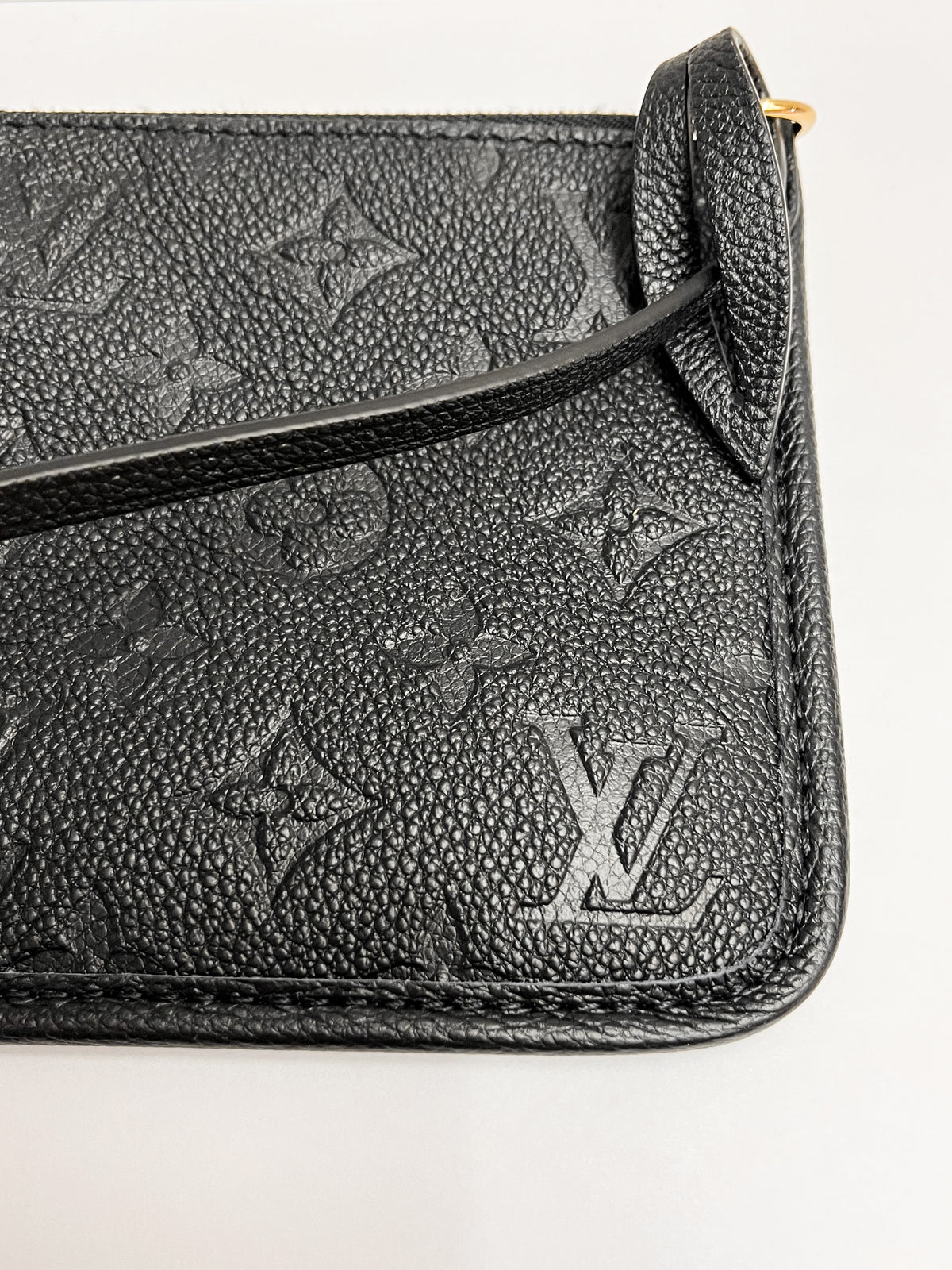 Louis Vuitton Monogram Empreinte CarryAll Pochette
