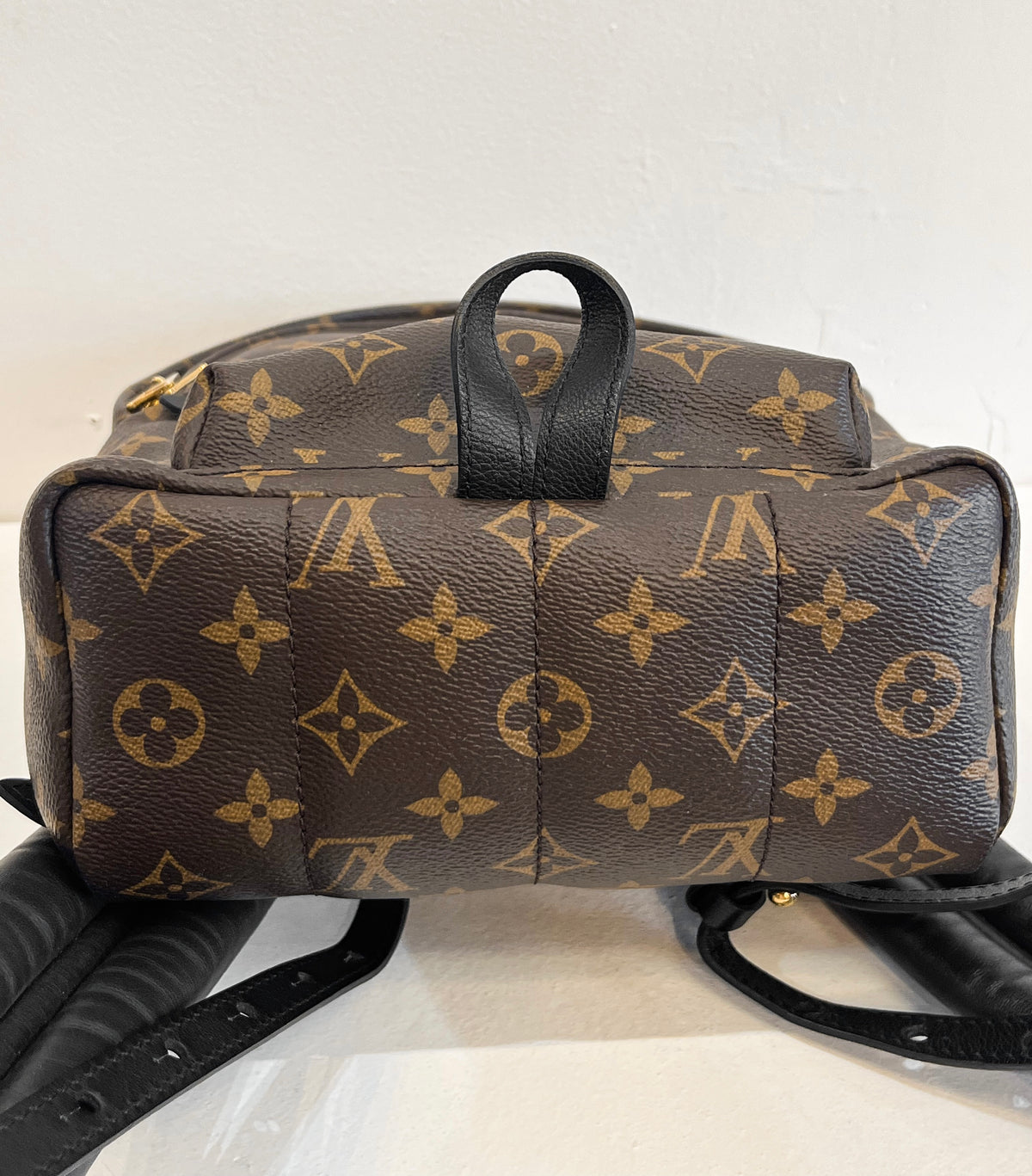 Louis Vuitton Monogram Palm Springs Backpack PM