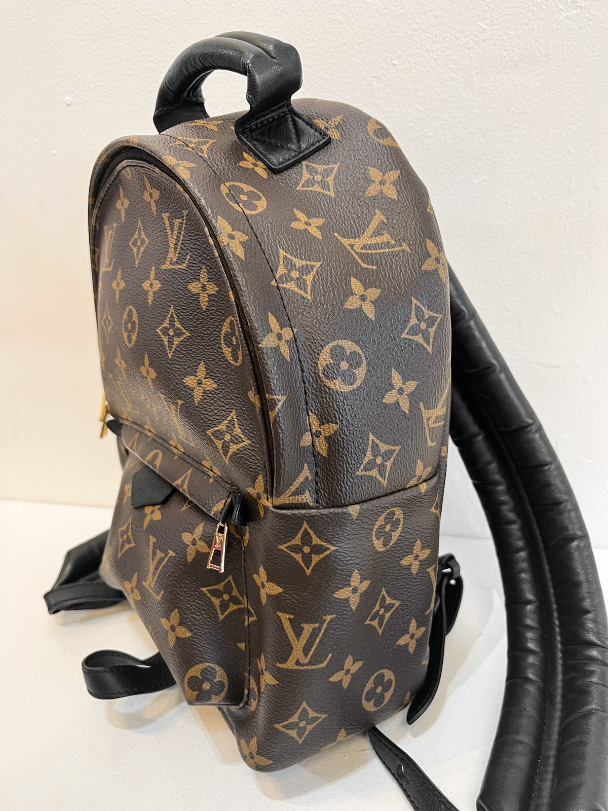Louis Vuitton Monogram Palm Springs Backpack PM