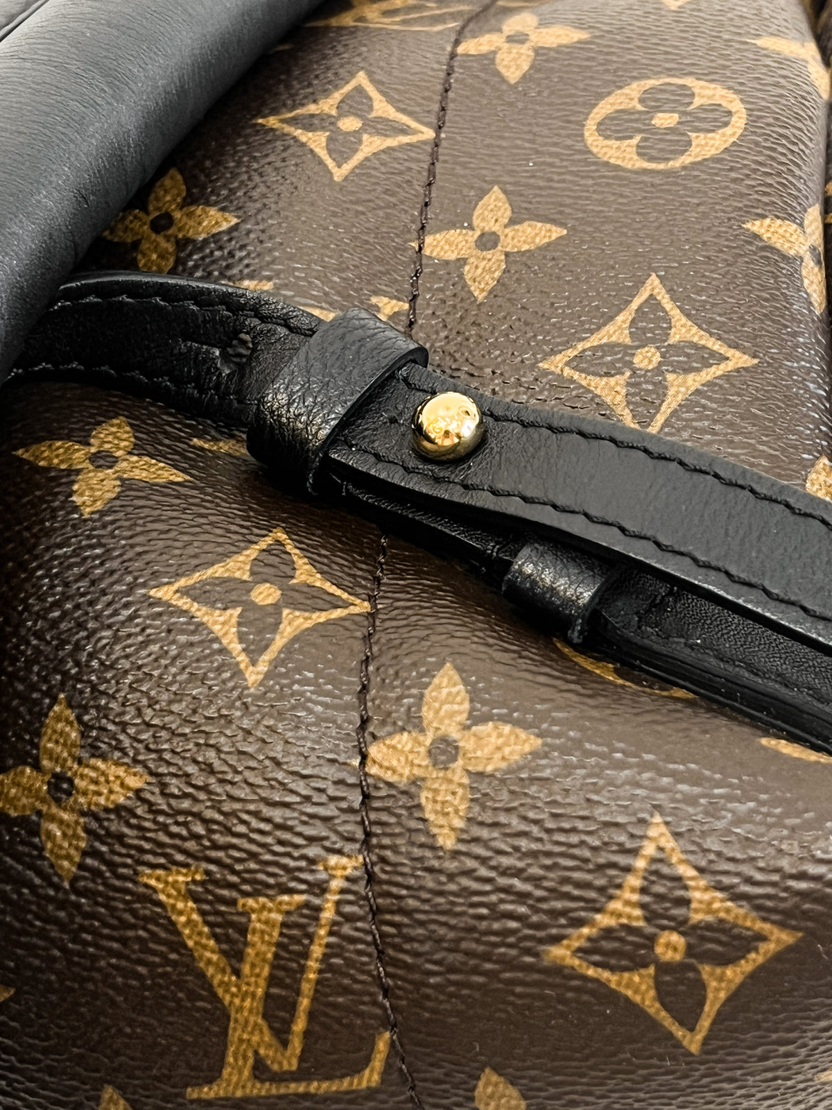 Louis Vuitton Monogram Palm Springs Backpack PM