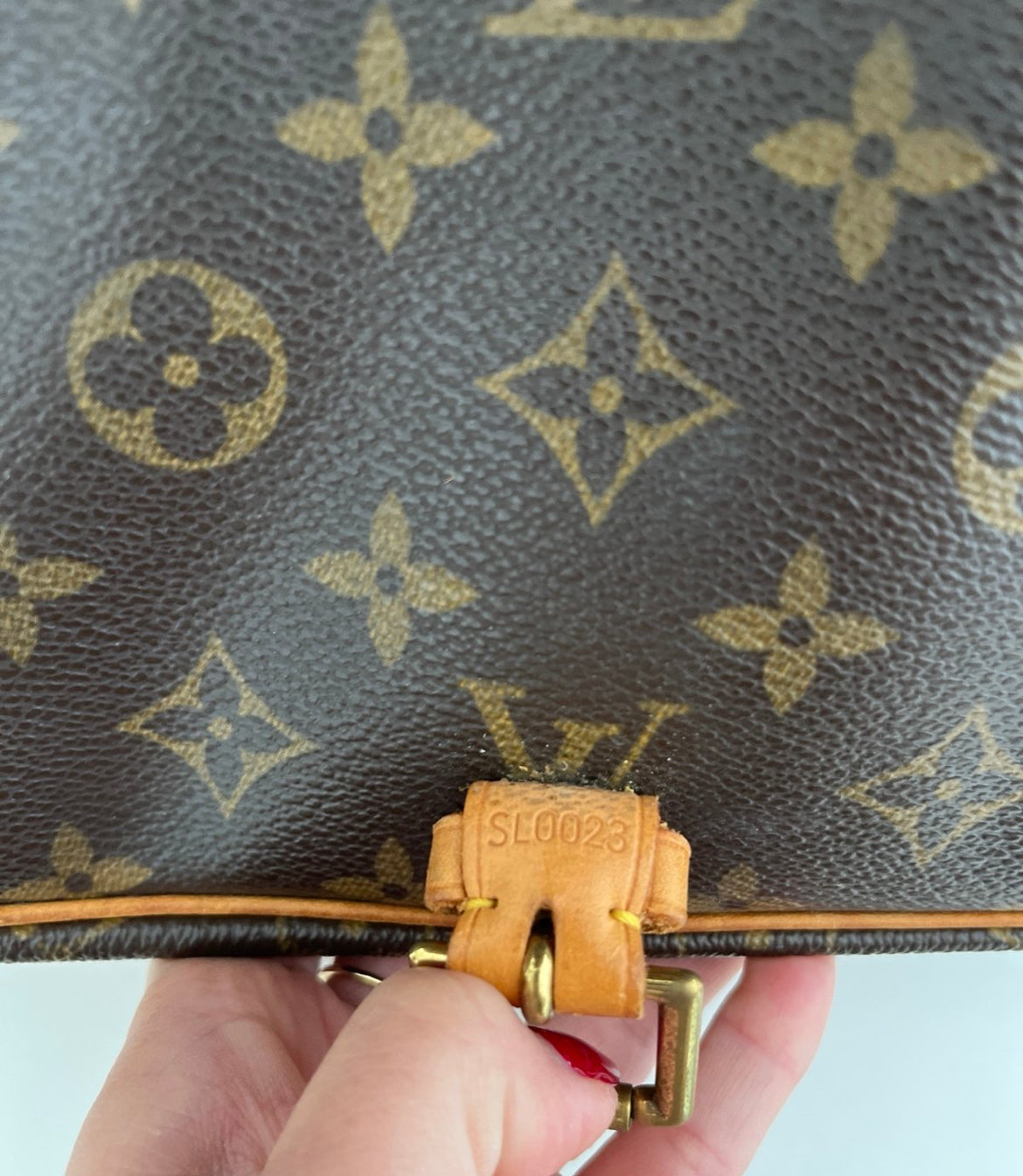 Louis Vuitton Sologne Bag