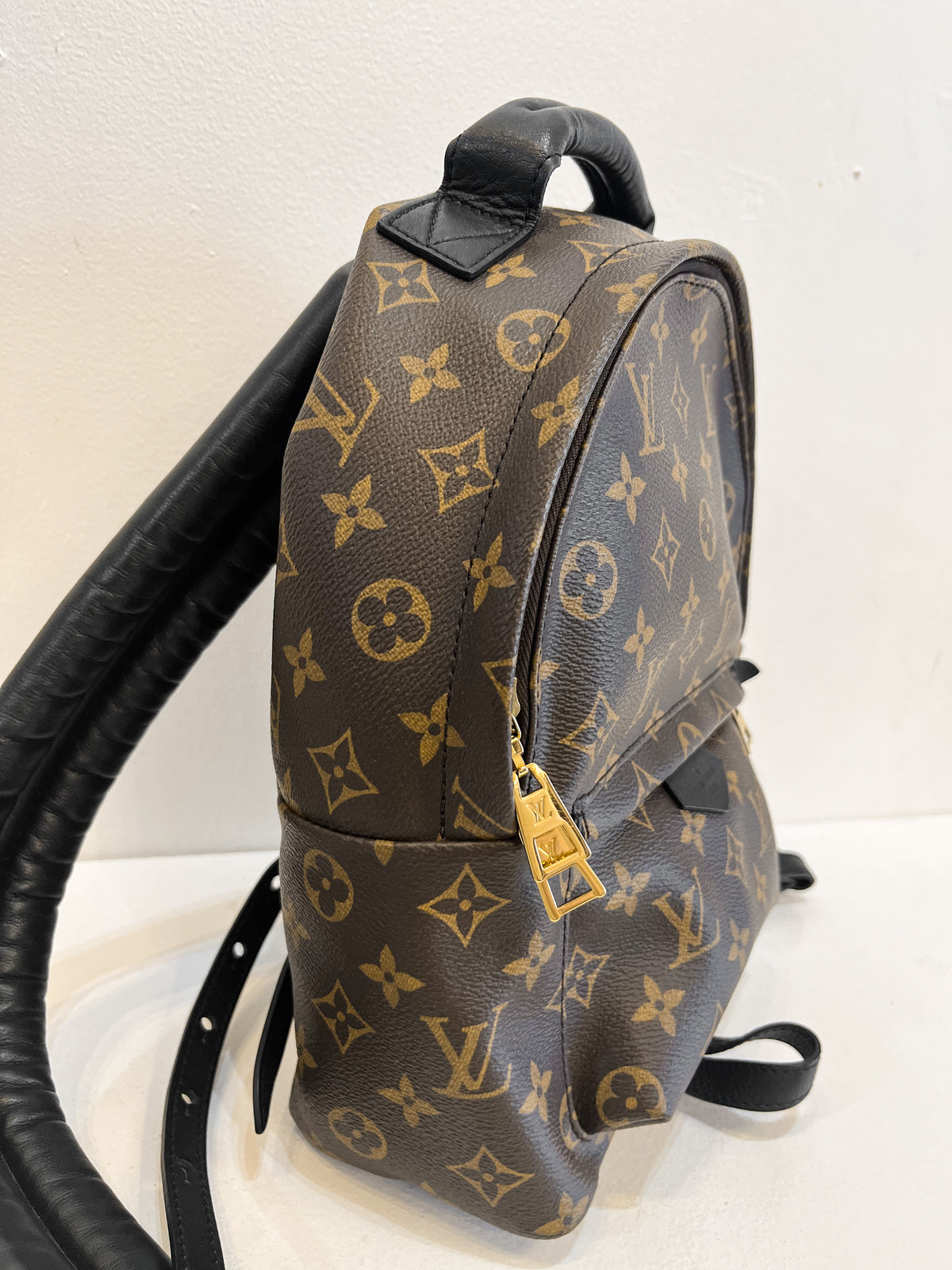 Louis Vuitton Monogram Palm Springs Backpack PM