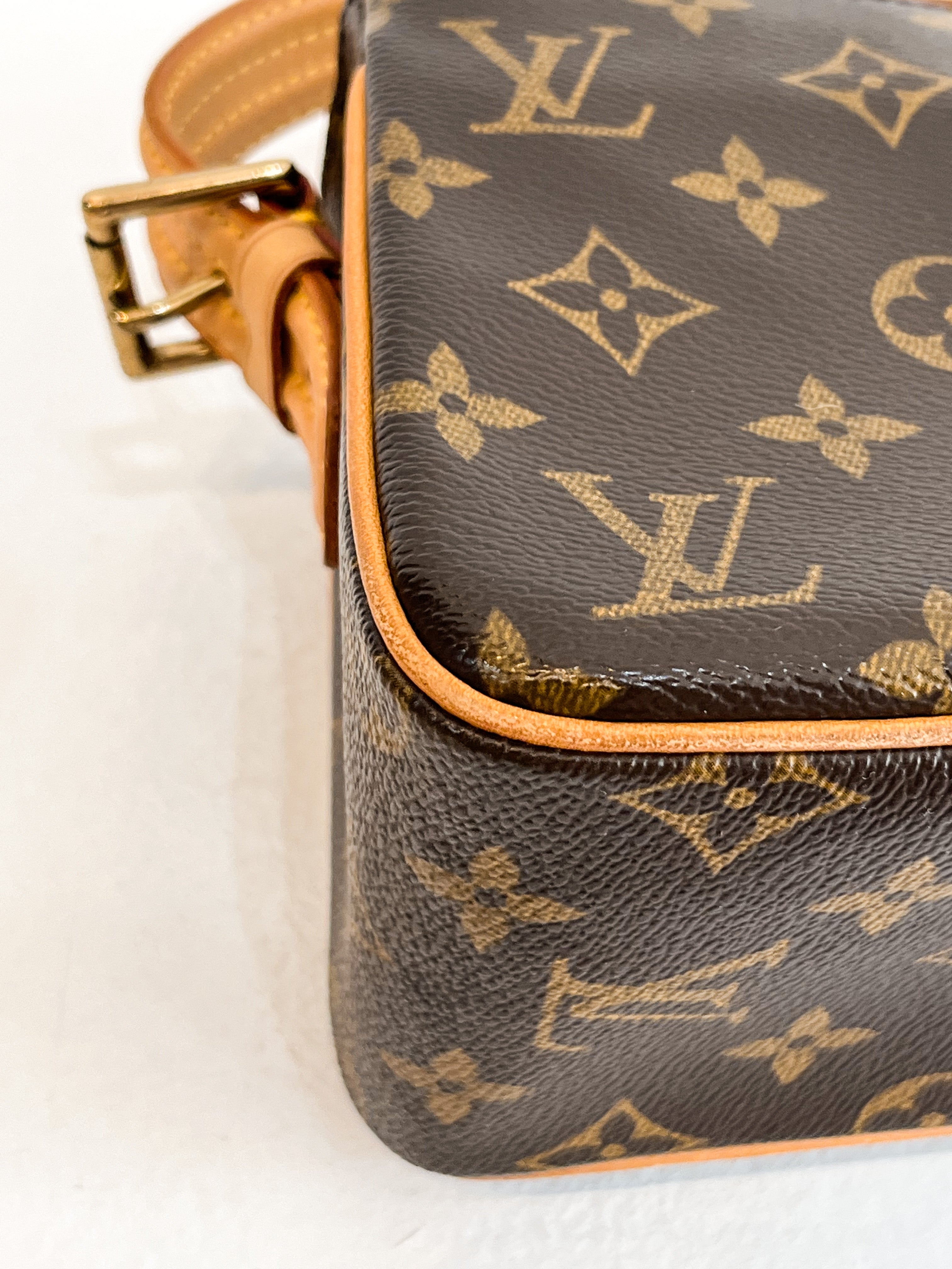 Louis Vuitton Viva Cite MM Shoulder Bag