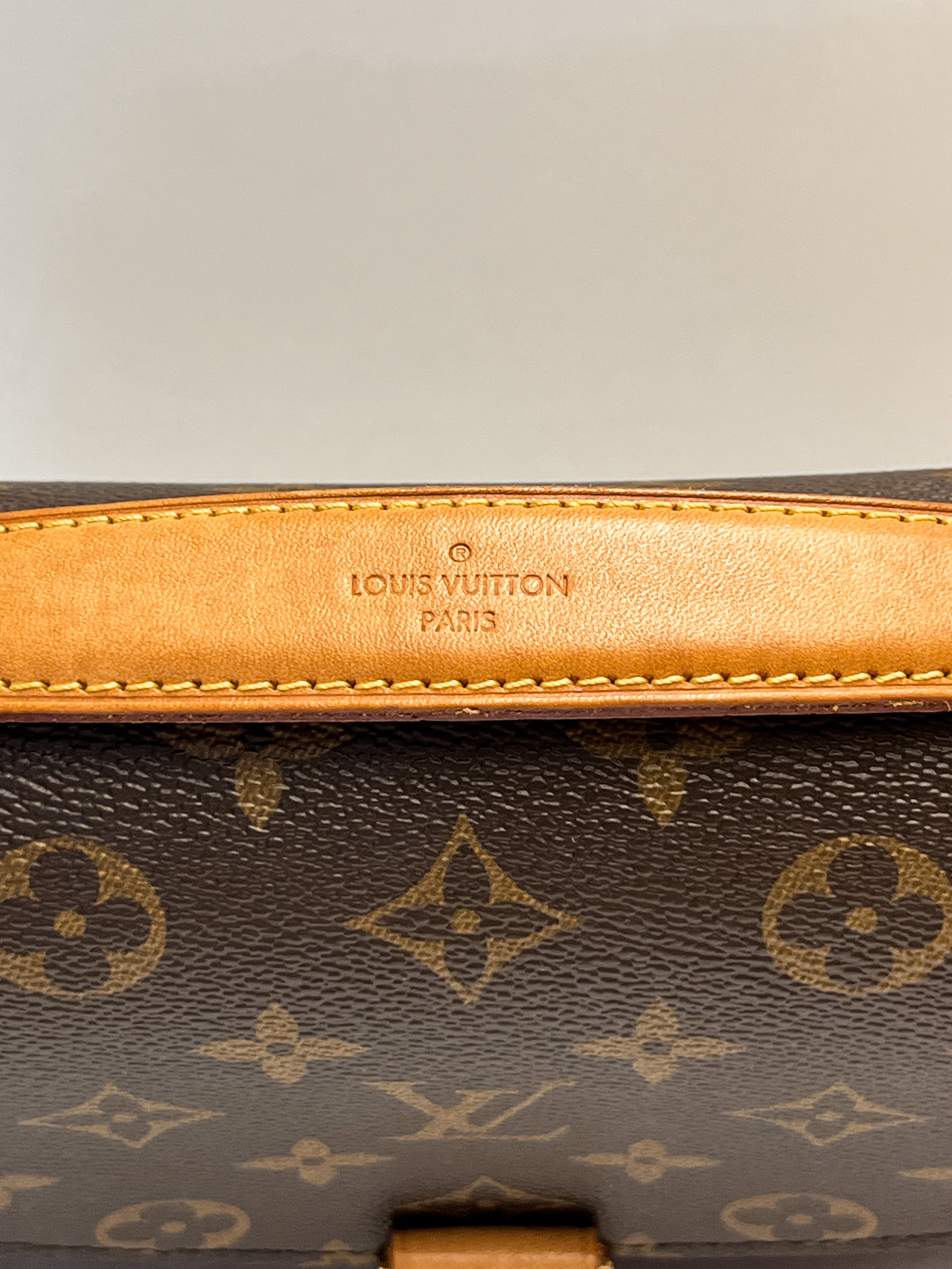 Louis Vuitton Monogram Pochette Metis