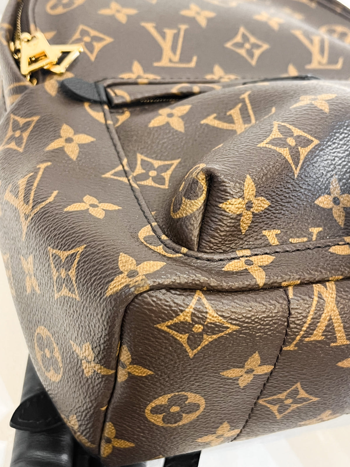 Louis Vuitton Monogram Palm Springs Backpack PM