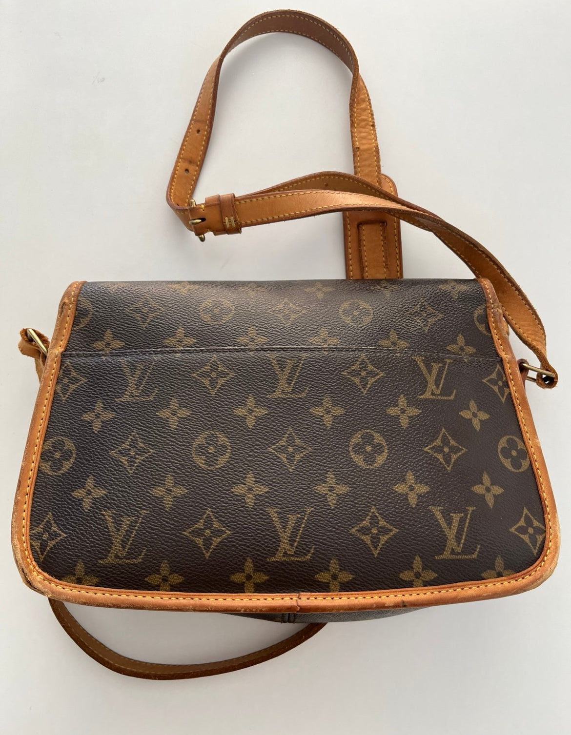 Louis Vuitton Sologne Bag