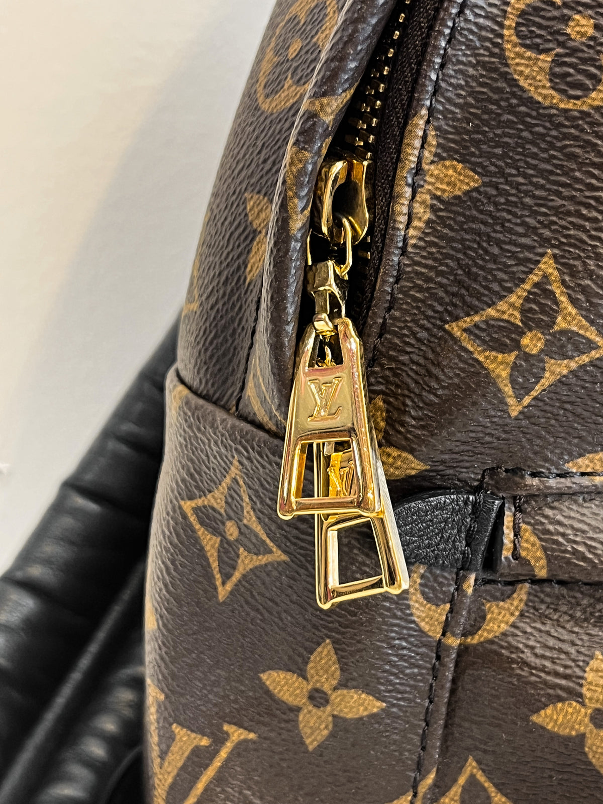 Louis Vuitton Monogram Palm Springs Backpack PM