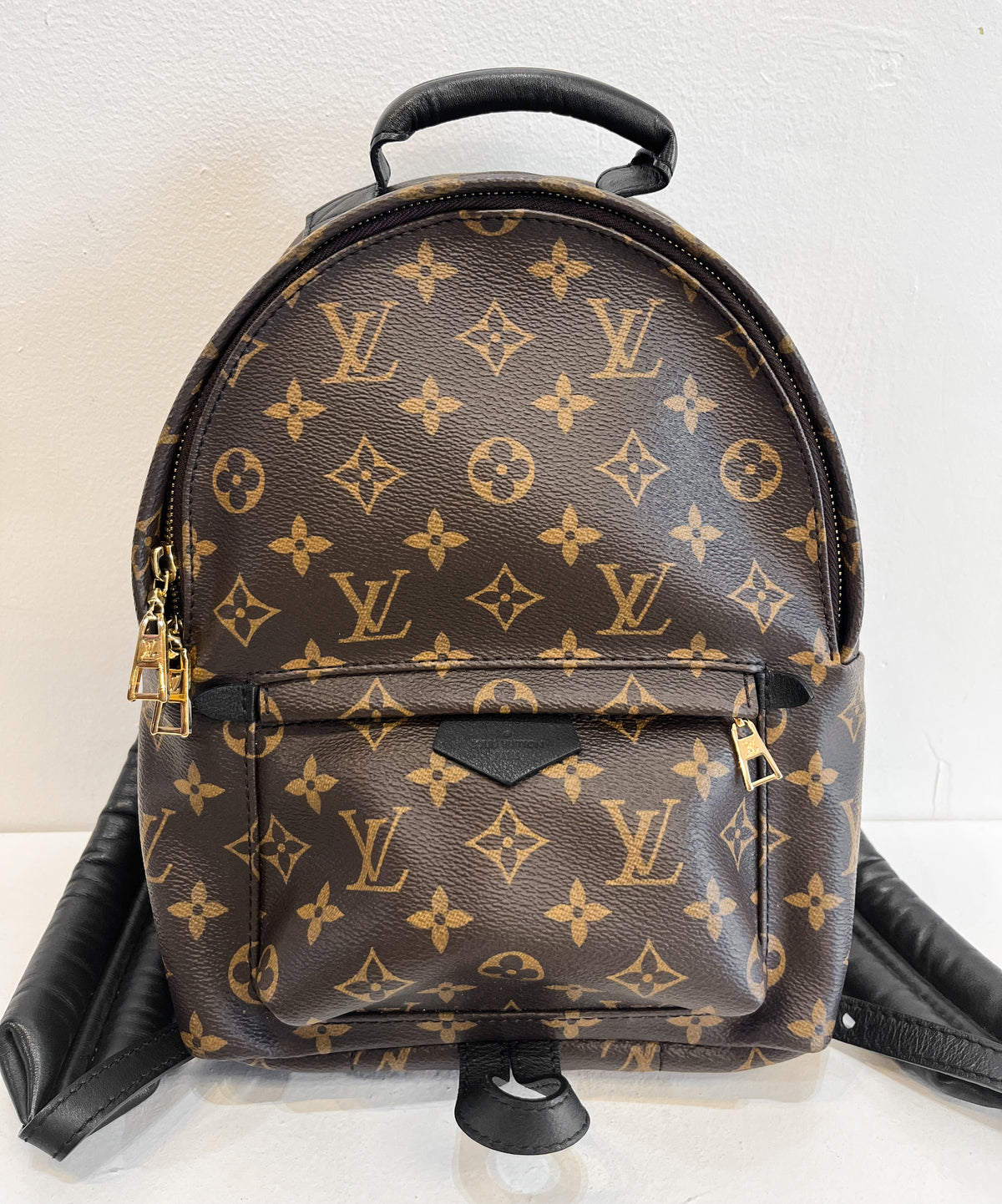 Louis Vuitton Monogram Palm Springs Backpack PM