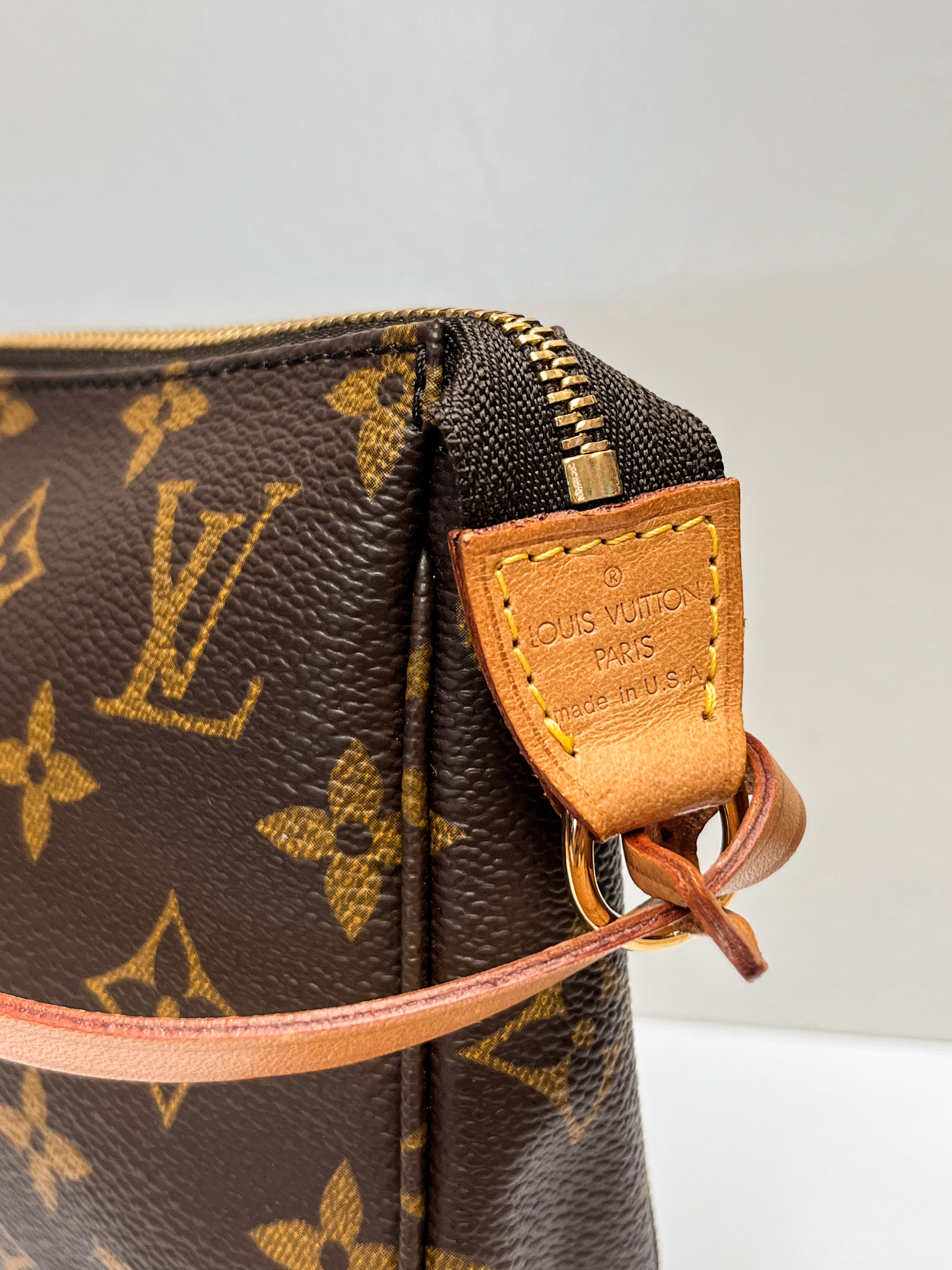 Louis Vuitton Monogram Canvas Pochette Accessoires