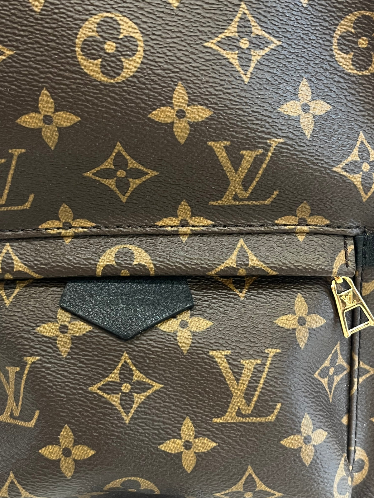Louis Vuitton Monogram Palm Springs Backpack PM