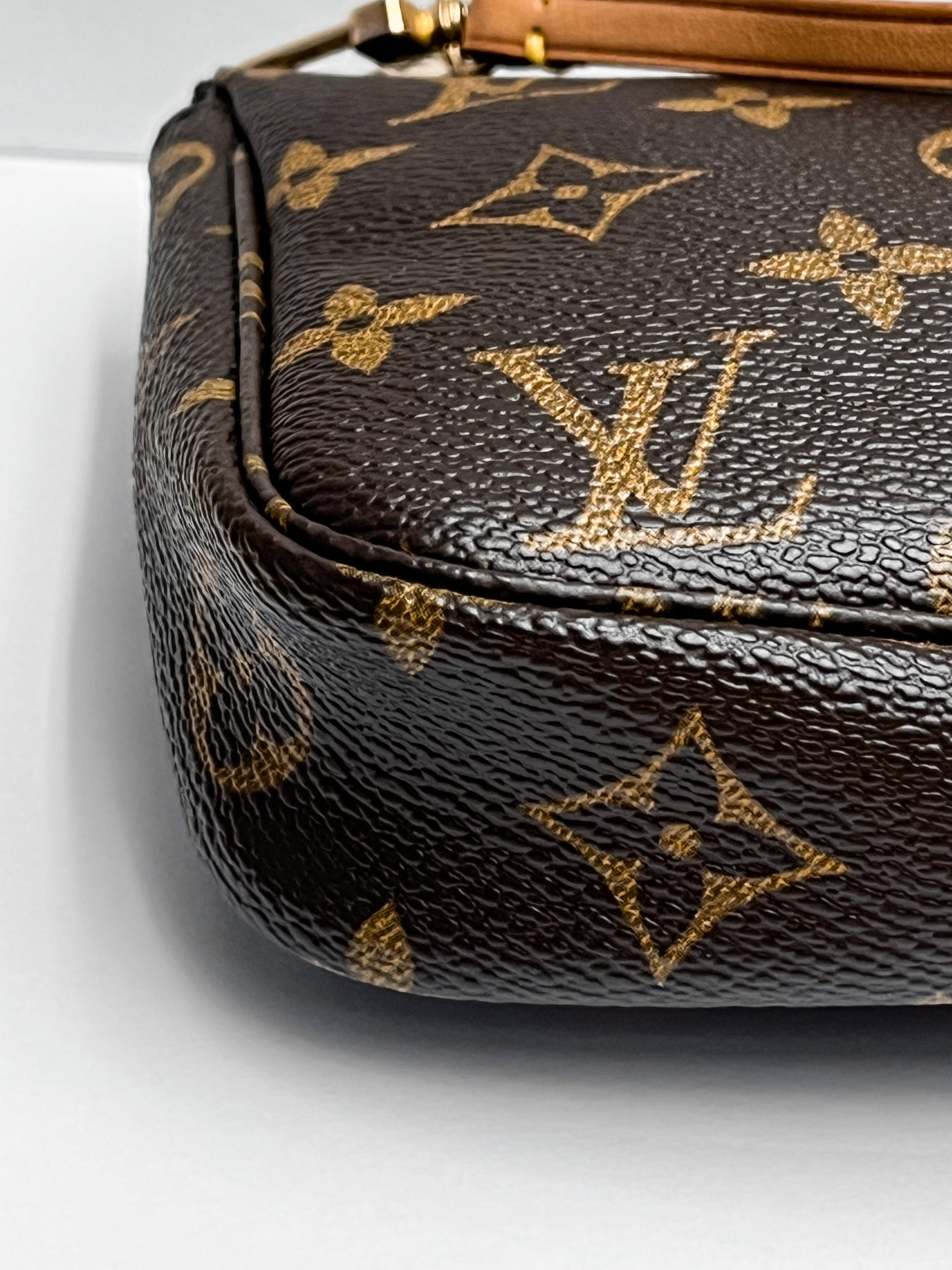 Louis Vuitton Monogram Canvas Pochette Accessoires