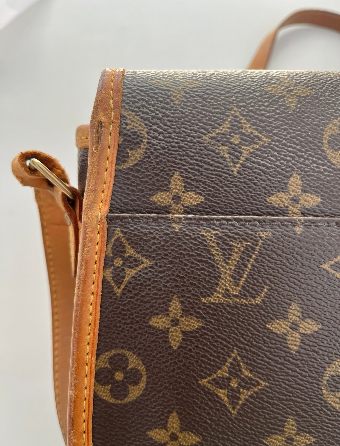 Louis Vuitton Sologne Bag